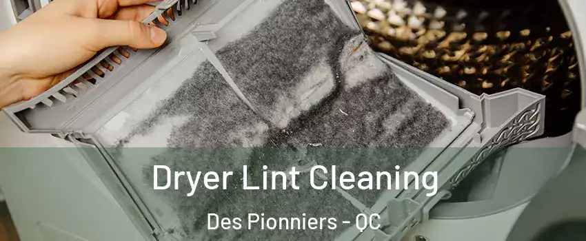  Dryer Lint Cleaning Des Pionniers - QC