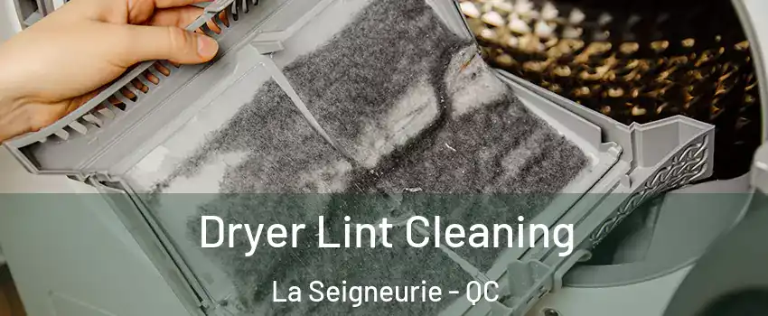  Dryer Lint Cleaning La Seigneurie - QC