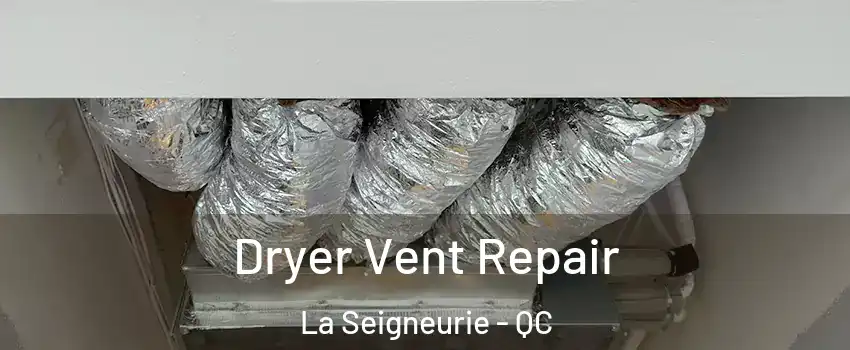  Dryer Vent Repair La Seigneurie - QC