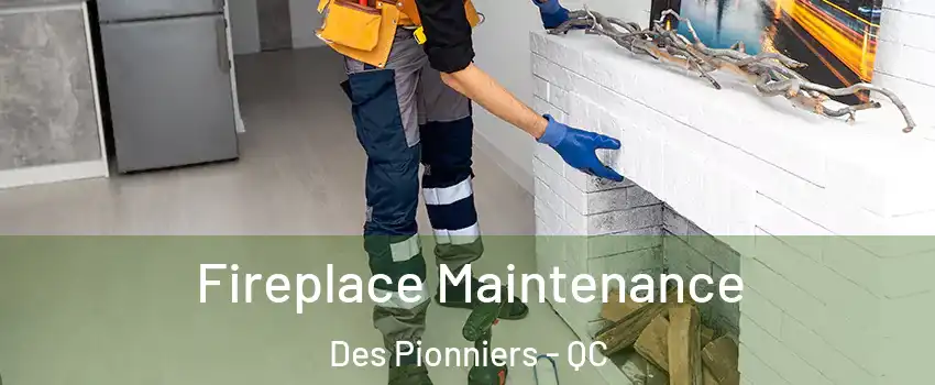  Fireplace Maintenance Des Pionniers - QC