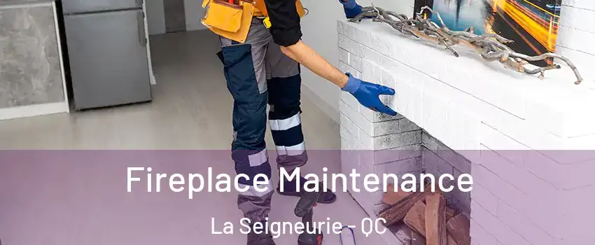  Fireplace Maintenance La Seigneurie - QC