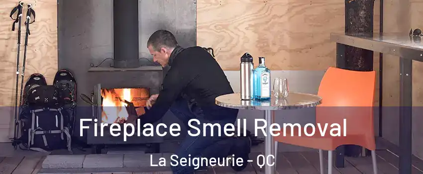 Fireplace Smell Removal La Seigneurie - QC