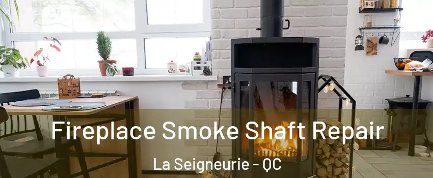  Fireplace Smoke Shaft Repair La Seigneurie - QC