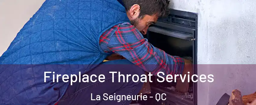  Fireplace Throat Services La Seigneurie - QC