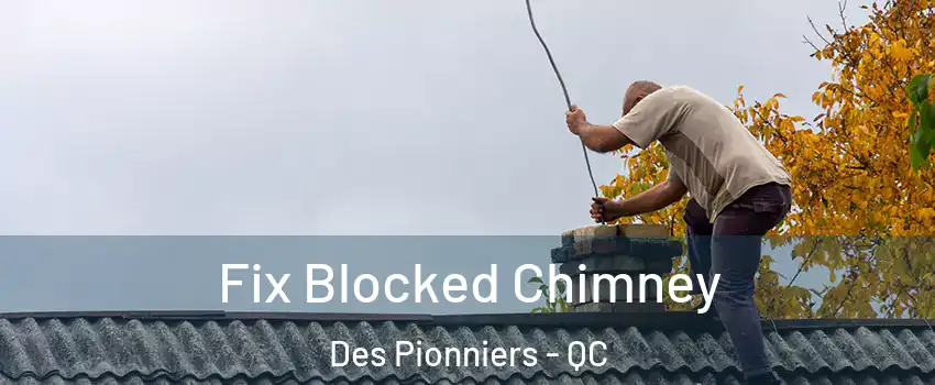  Fix Blocked Chimney Des Pionniers - QC