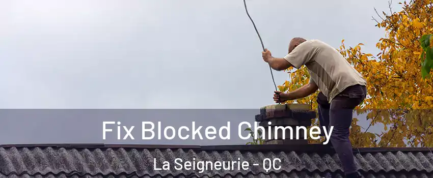  Fix Blocked Chimney La Seigneurie - QC