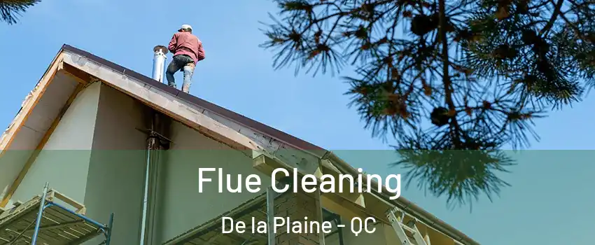  Flue Cleaning De la Plaine - QC
