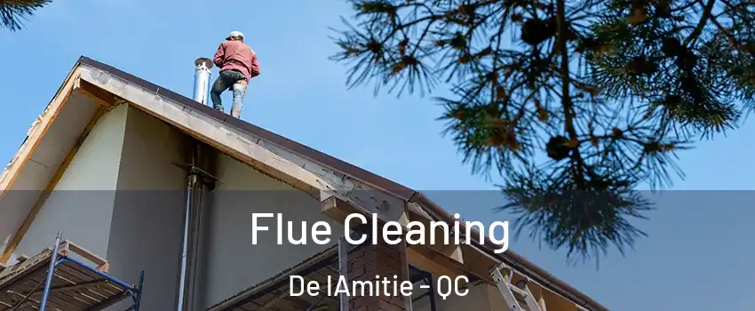  Flue Cleaning De lAmitie - QC