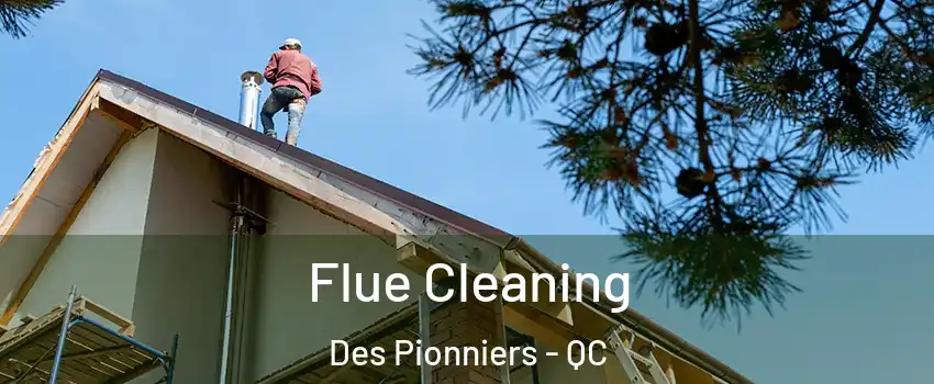  Flue Cleaning Des Pionniers - QC
