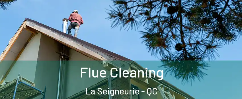  Flue Cleaning La Seigneurie - QC