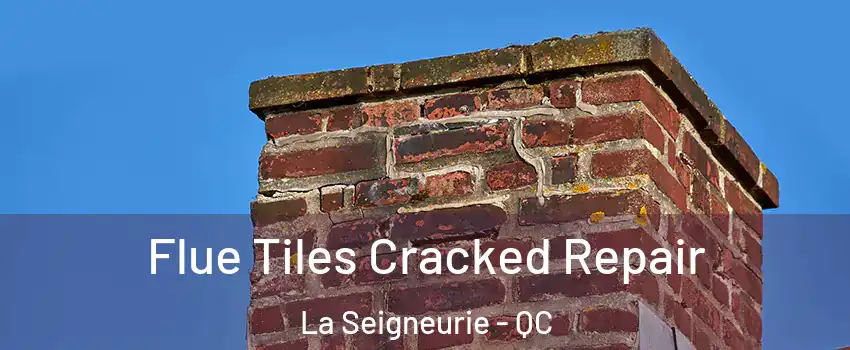  Flue Tiles Cracked Repair La Seigneurie - QC
