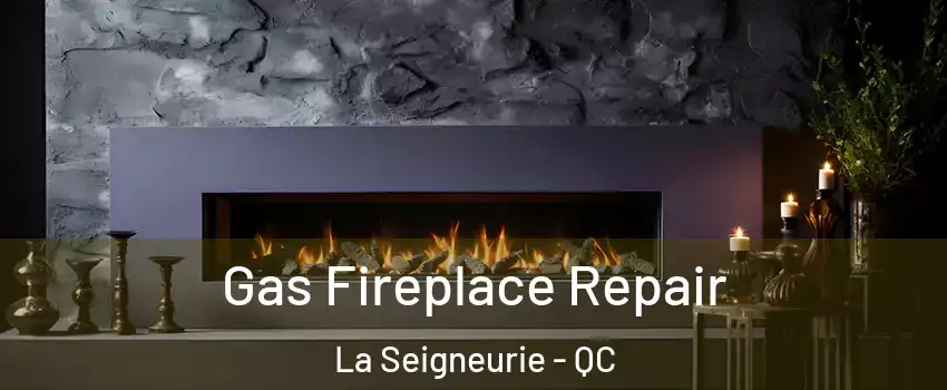  Gas Fireplace Repair La Seigneurie - QC
