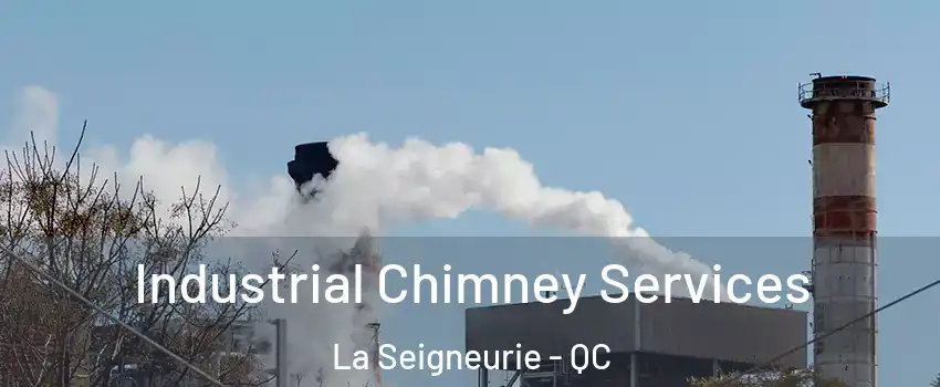  Industrial Chimney Services La Seigneurie - QC