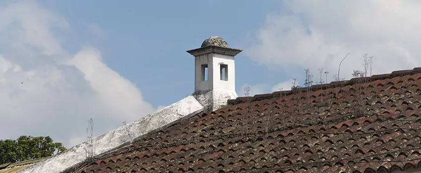 Wind-Resistant Chimney Caps Installation and Repair Services in Candiac, Quebec