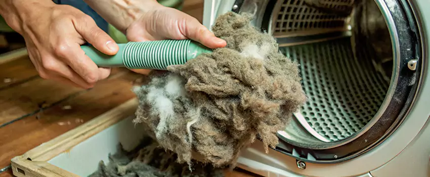 Best Dryer Lint Removal Company in Candiac, Quebec