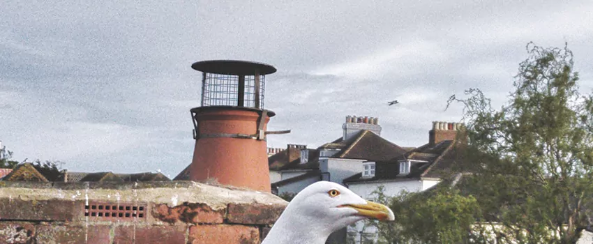 Chimney Cap Bird Guard Repair in Candiac, Quebec