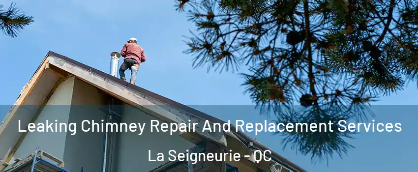  Leaking Chimney Repair And Replacement Services La Seigneurie - QC