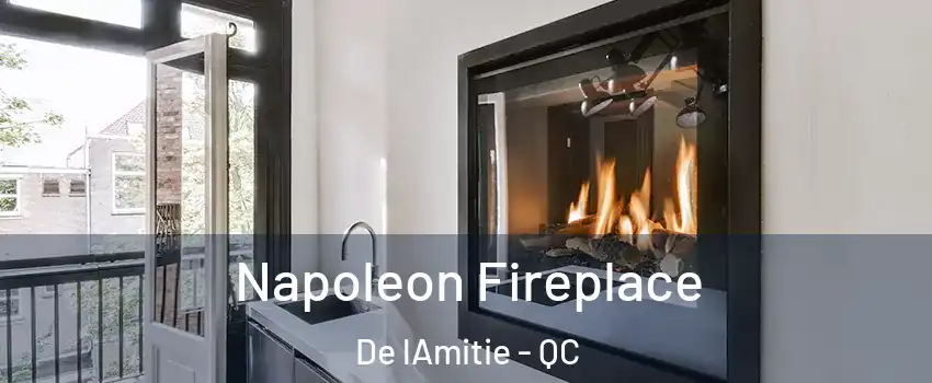  Napoleon Fireplace De lAmitie - QC