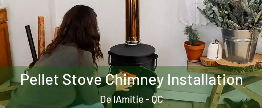  Pellet Stove Chimney Installation De lAmitie - QC