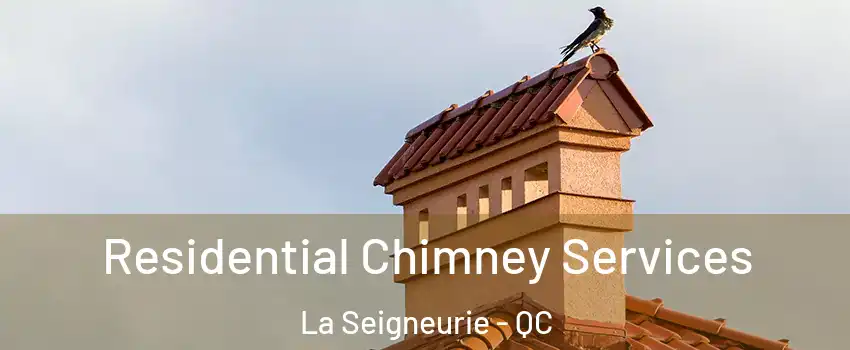  Residential Chimney Services La Seigneurie - QC