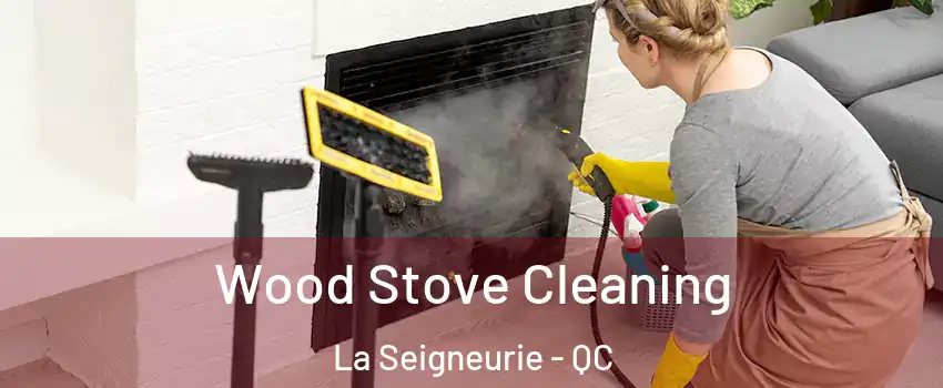  Wood Stove Cleaning La Seigneurie - QC